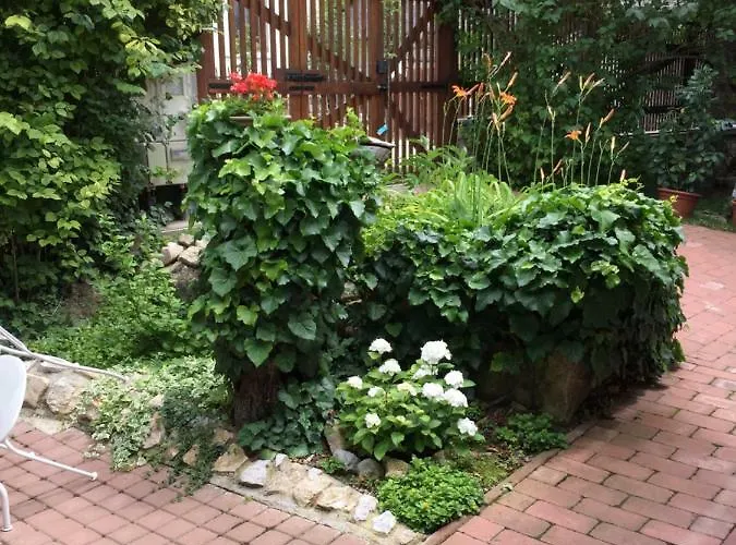 Aracsi Kishaz Lägenhet