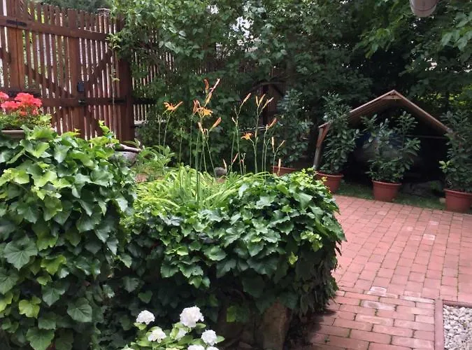 Lägenhet Aracsi Kishaz